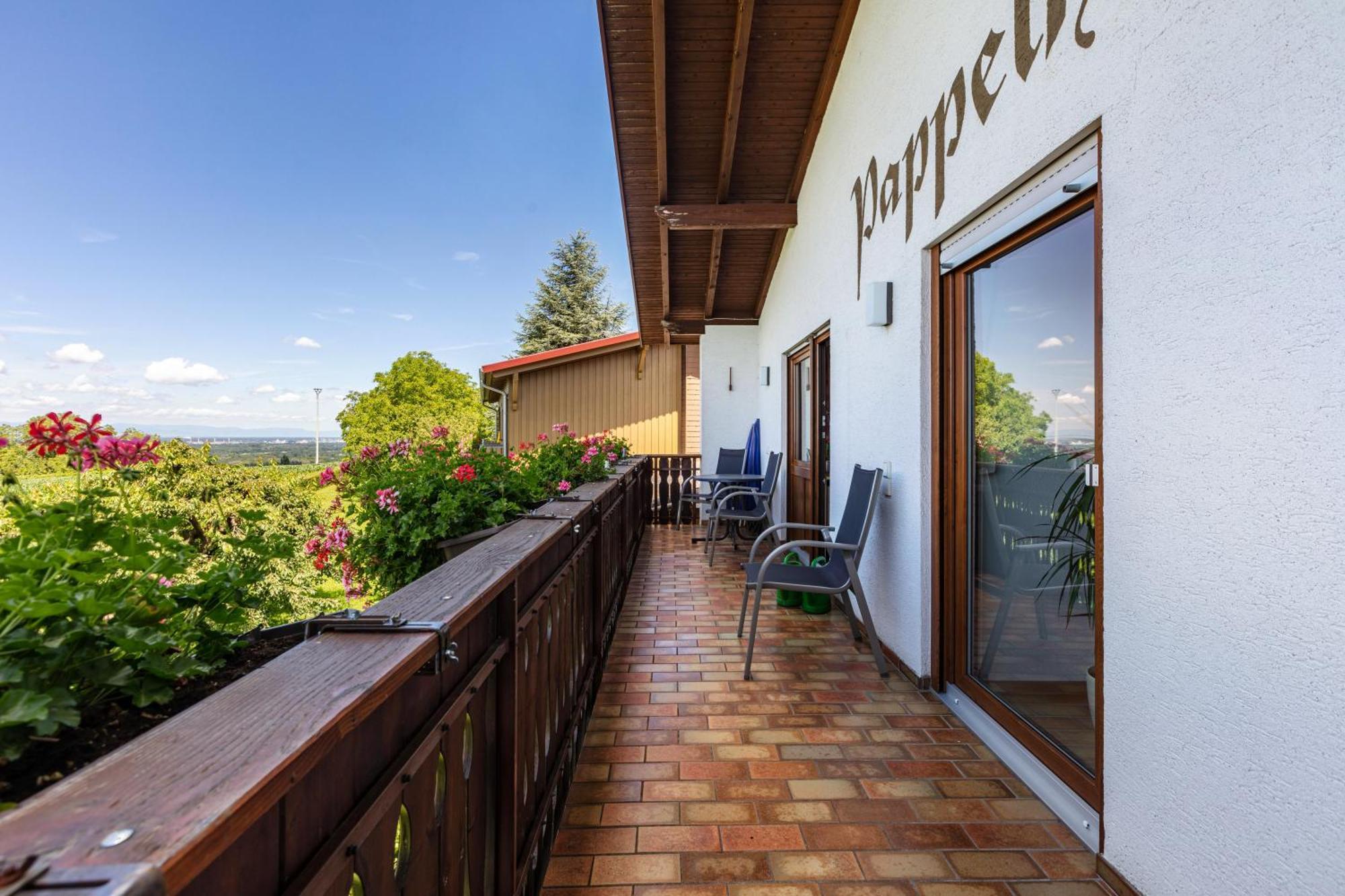 Pappelhof Apartment Bad Bellingen Exterior photo
